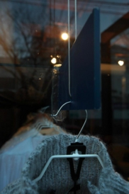 bluebird|shopdesign