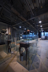 LAND|shopdesign