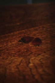 カフェ｜circle