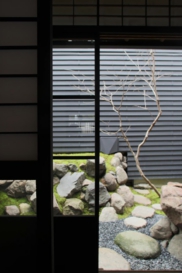 羽シャンデリア７