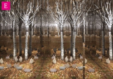 LIVING＆DESIGN2012 特別企画展「リノベーションハウス」出展作8
