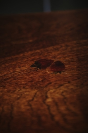 カフェ｜circle
