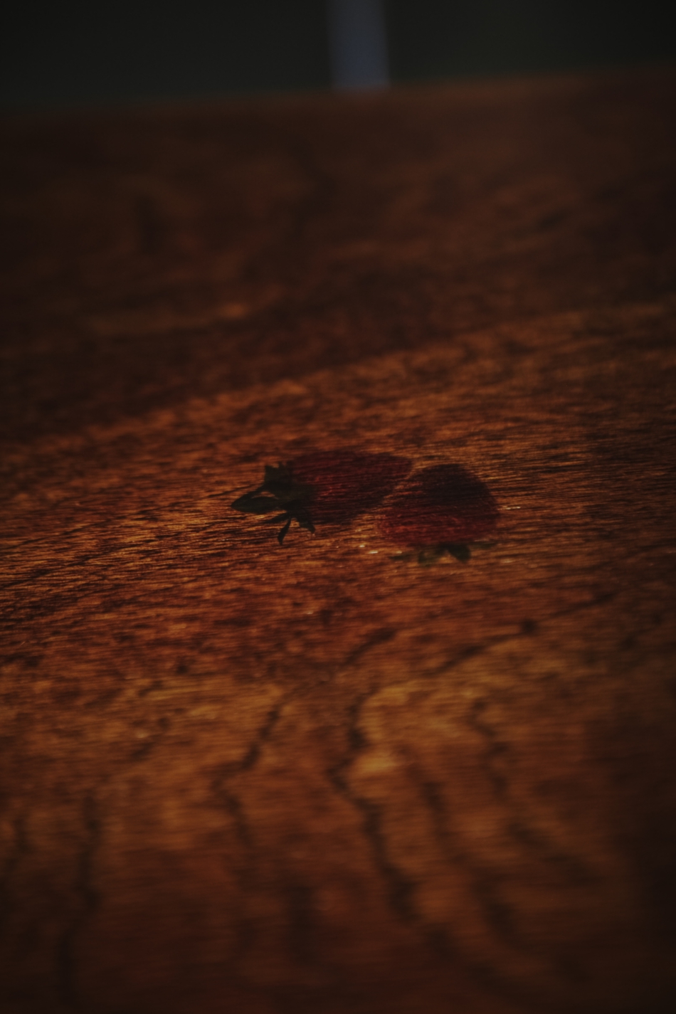 カフェ｜circle