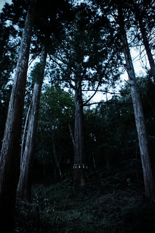 ９久田神山1